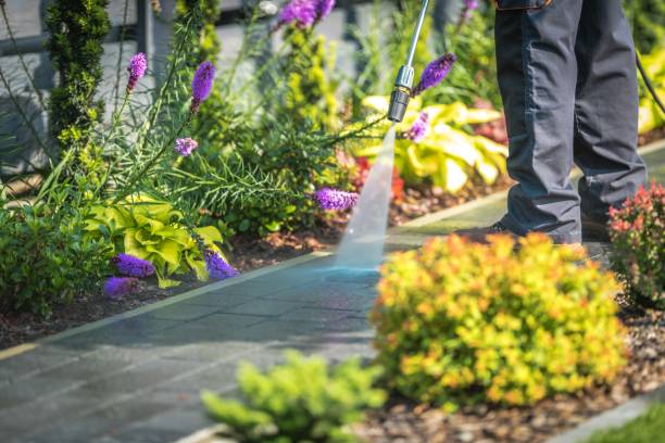 Professional Pressure Washing Services in Cordova, AK